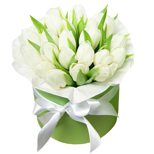 Фото товара 21 білий тюльпан у коробці в Самборі