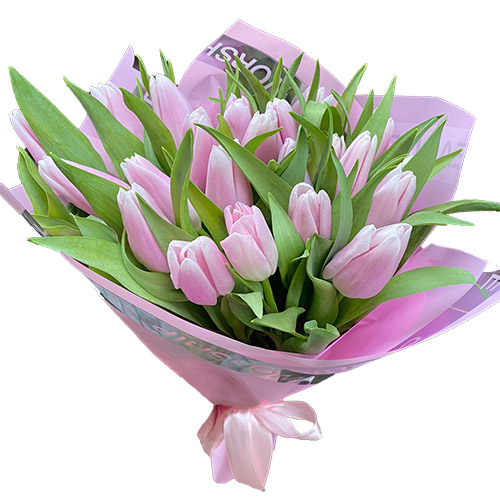 Фото товара 21 ніжно-рожевий тюльпан в Самборі