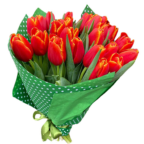 Фото товара 21 тюльпан "Маковий цвіт" в Самборі