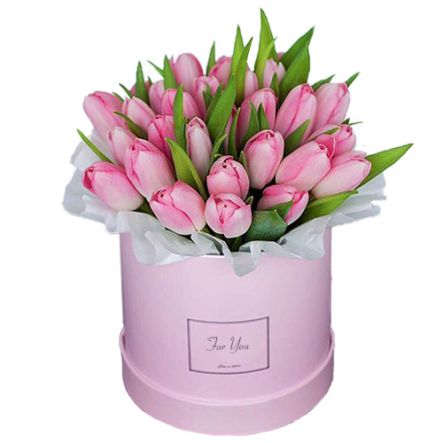 Фото товара 31 ніжно-рожевий тюльпан у коробці в Самборі
