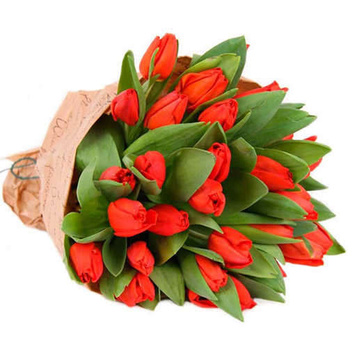Фото товара 35 червоних тюльпанів у "газеті" в Самборі