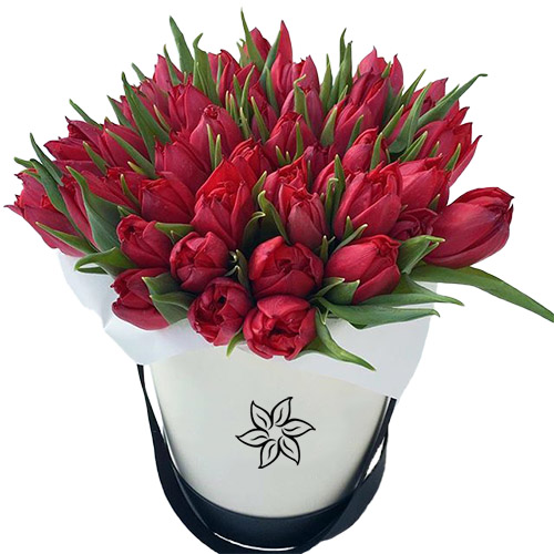 Фото товара 45 червоних тюльпанів у коробці в Самборі