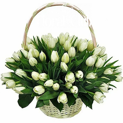 Фото товара "Цукрова вата" 51 білий тюльпан у кошику в Самборі