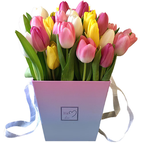 Фото товара 31 тюльпан "Весняний вітер" у квадратній коробці в Самборі