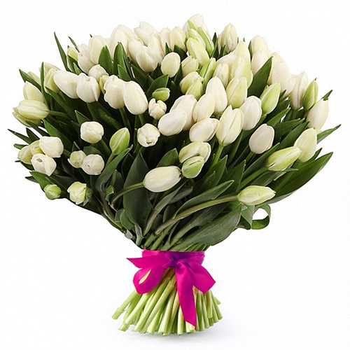 Фото товара 51 білий тюльпан "Джульєтта" в Самборі