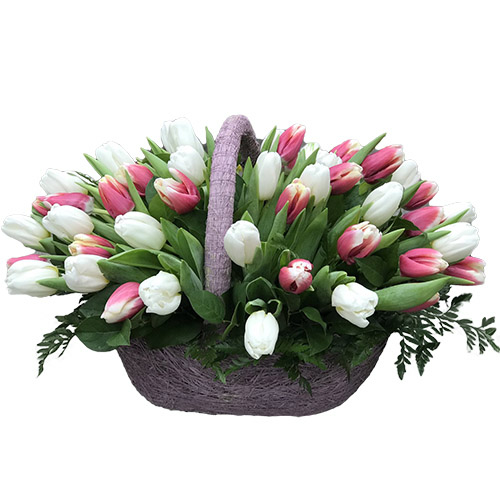 Фото товара 51 біло-рожевий тюльпан у кошику в Самборі