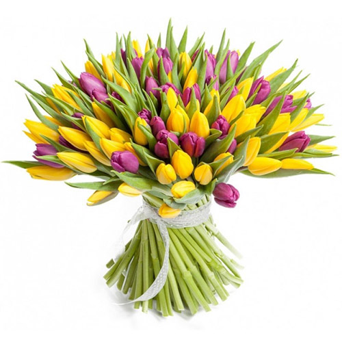 Фото товара 75 фіолетово-жовтих тюльпанів в Самборі