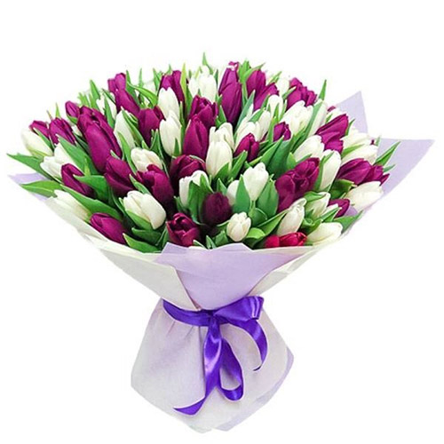 Фото товара 75 пурпурно-білих тюльпанів в Самборі
