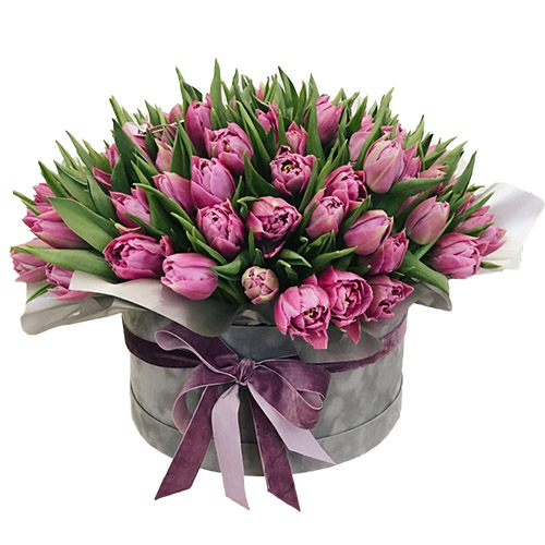 Фото товара 101 пурпурний тюльпан у коробці в Самборі