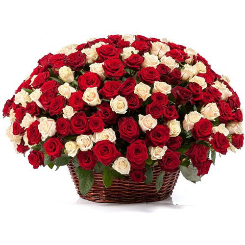 Фото товара 101 троянда мікс в кошику з категорії найбільш шикарних букетів  в Самборі