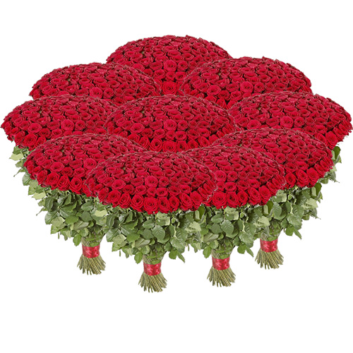 Фото товара Букет 1001 червона троянда з категорії найбільш шикарних букетів  в Самборі