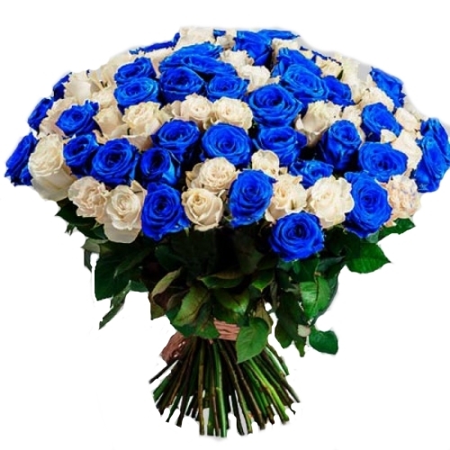 Фото товара 101 біла і синя троянда (фарбована) в Самборі