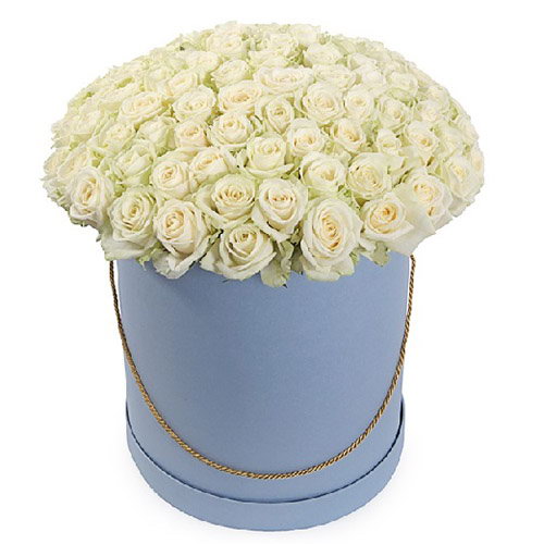 Фото товара 101 троянда біла в капелюшній коробці в Самборі