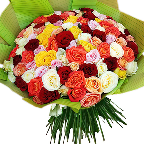 Фото товара 101 троянда мікс в упаковці з категорії найбільш шикарних букетів  в Самборі