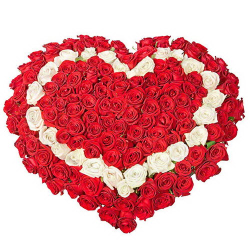 Фото товара 101 троянда серцем - три шари з категорії найбільш шикарних букетів  в Самборі