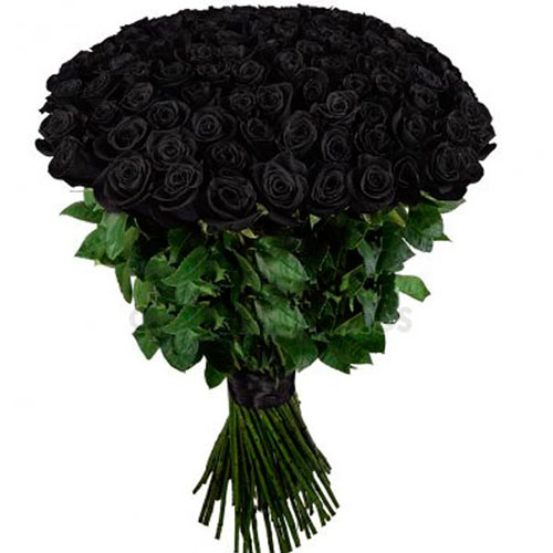 Фото товара 101 чорна троянда (фарбована) з категорії найбільш шикарних букетів  в Самборі