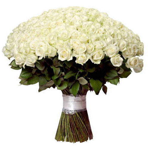 Фото товара 201 біла троянда з категорії найбільш шикарних букетів  в Самборі