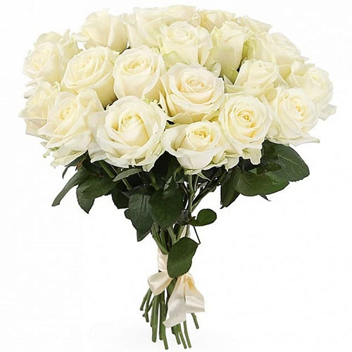 Фото товара 21 біла троянда в Самборі