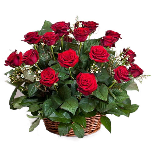 Фото товара 21 червона троянда в кошику з категорії букетів среднец ціни  в Самборі