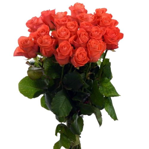 Фото товара 21 троянда "Вау" з категорії букетів среднец ціни  в Самборі