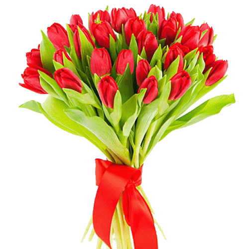 Фото товара 25 червоних тюльпанів в Самборі
