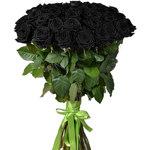 Фото товара 25 чорних троянд (фарбованих) з категорії найбільш шикарних букетів  в Самборі