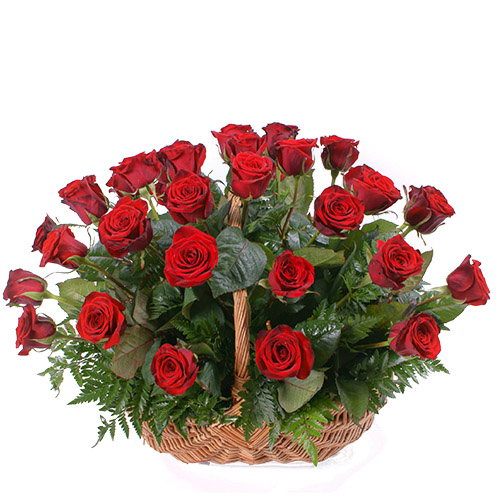 Фото товара 35 червоних троянд в кошику в Самборі