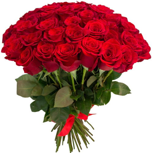 Фото товара 75 червоних троянд з категорії найбільш шикарних букетів  в Самборі