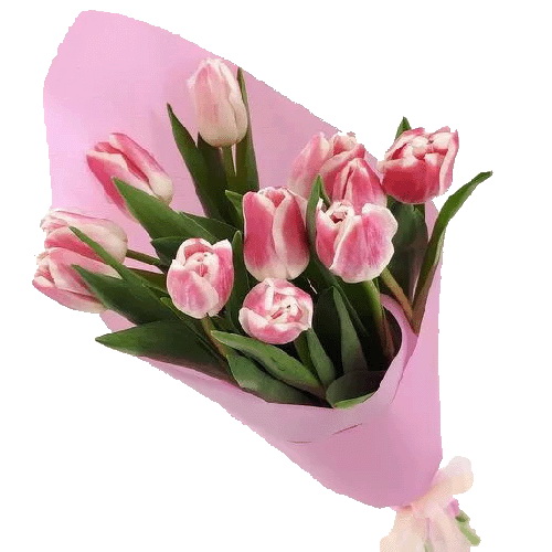 Фото товара 11 рожевих тюльпанів в Самборі