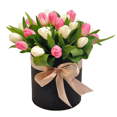 Фото товара 25 тюльпанів у капелюшній коробці в Самборі