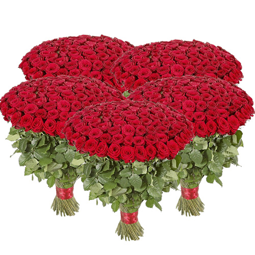 Фото товара 501 червона троянда з категорії найбільш шикарних букетів  в Самборі