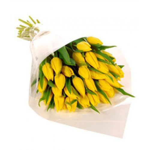 Фото товара 25 жовтих тюльпанів в Самборі