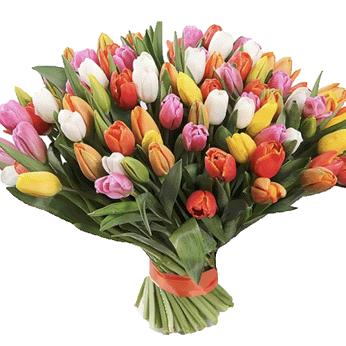 Фото товара 101 різнокольоровий тюльпан в Самборі