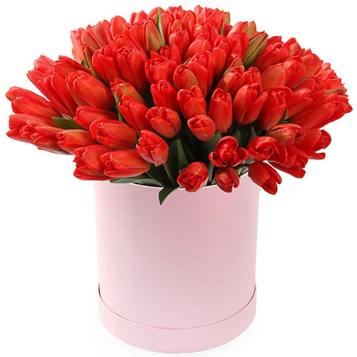 Фото товара 101 червоний тюльпан у коробці в Самборі