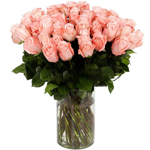 Фото товара Троянда імпортна рожева (поштучно) з категорії найбільш шикарних букетів  в Самборі