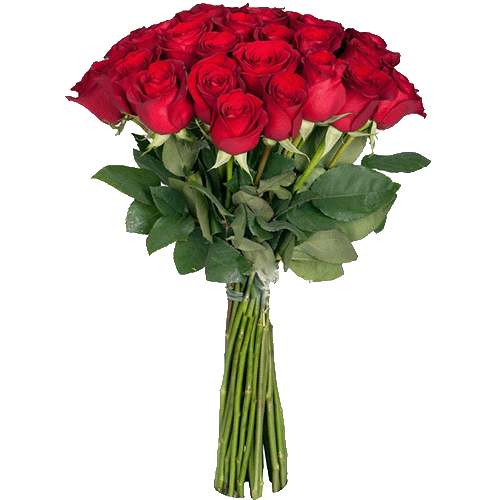 Фото товара Екстра троянда (поштучно) з категорії найбільш шикарних букетів  в Самборі