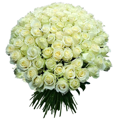 Фото товара 101 біла троянда з категорії найбільш шикарних букетів  в Самборі