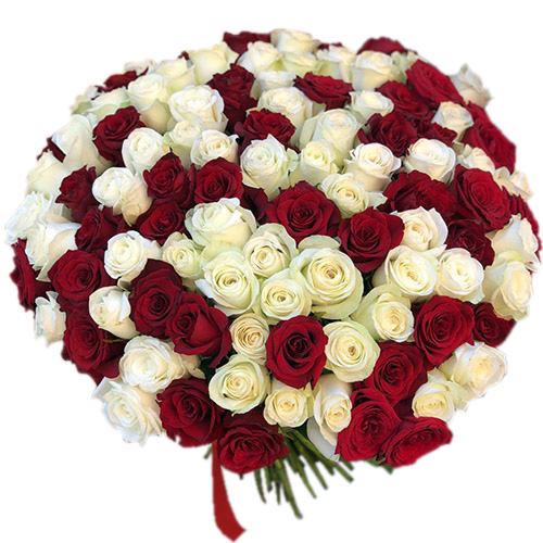 Фото товара 101 червона і біла троянда з категорії найбільш шикарних букетів  в Самборі