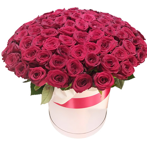 Фото товара 101 троянда червона в капелюшній коробці популярне в Самборі