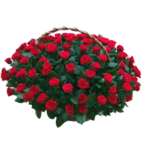 Фото товара 101 червона троянда в кошику з категорії найбільш шикарних букетів  в Самборі
