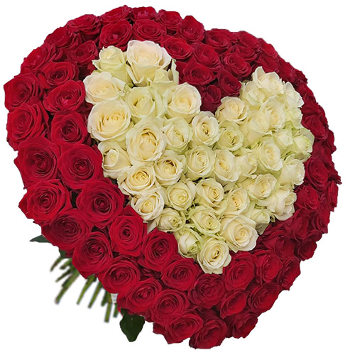 Фото товара Серце 101 троянда - червона і біла популярне в Самборі