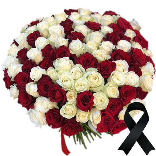 Фото товара 100 червоно-білих троянд в Самборі