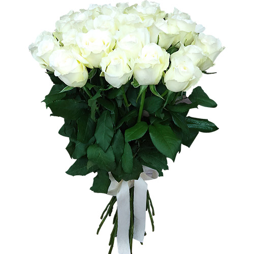 Фото товара 25 білих троянд з категорії букетів среднец ціни  в Самборі