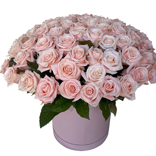 Фото товара 101 рожева троянда в коробці з категорії найбільш шикарних букетів  в Самборі