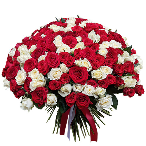 Фото товара 201 червона і біла троянда з категорії найбільш шикарних букетів  в Самборі