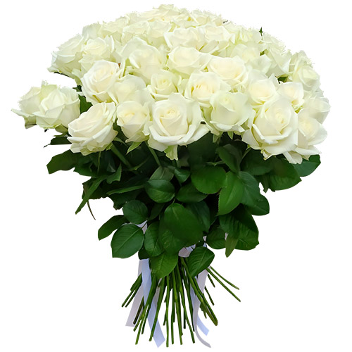 Фото товара 51 троянда біла з категорії найбільш шикарних букетів  в Самборі
