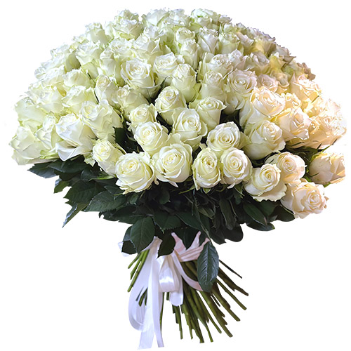 Фото товара 101 біла імпортна троянда з категорії найбільш шикарних букетів  в Самборі