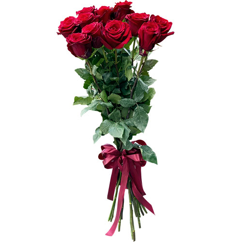 Фото товара 11 метрових троянд в Самборі