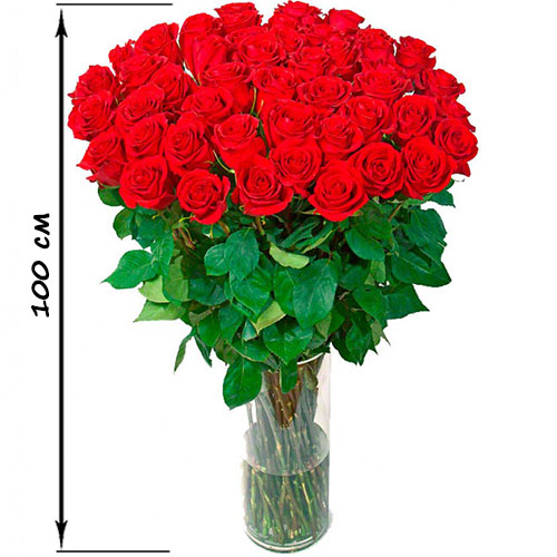 Фото товара 35 високих троянд (100 см) в Самборі
