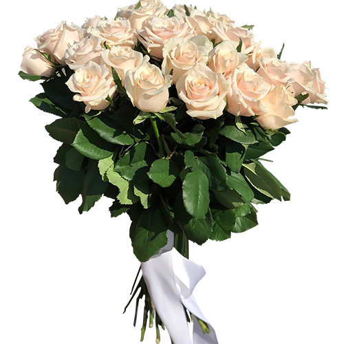 Фото товара Букет із 33 кремових троянд з категорії найбільш шикарних букетів  в Самборі